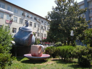 Rize - město čaje