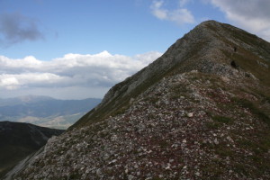 Pěšinka na vrchol
