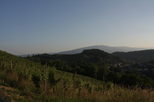 Vinice nad Mariborem