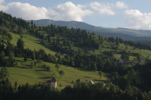 Dacici