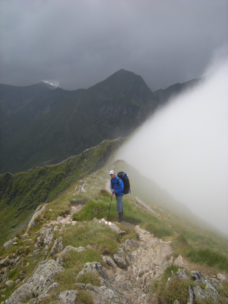 1008 Fagaras 123