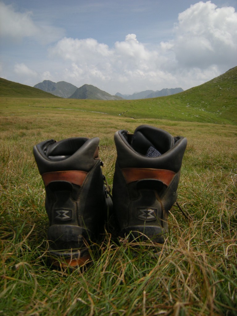 1008 Fagaras 172