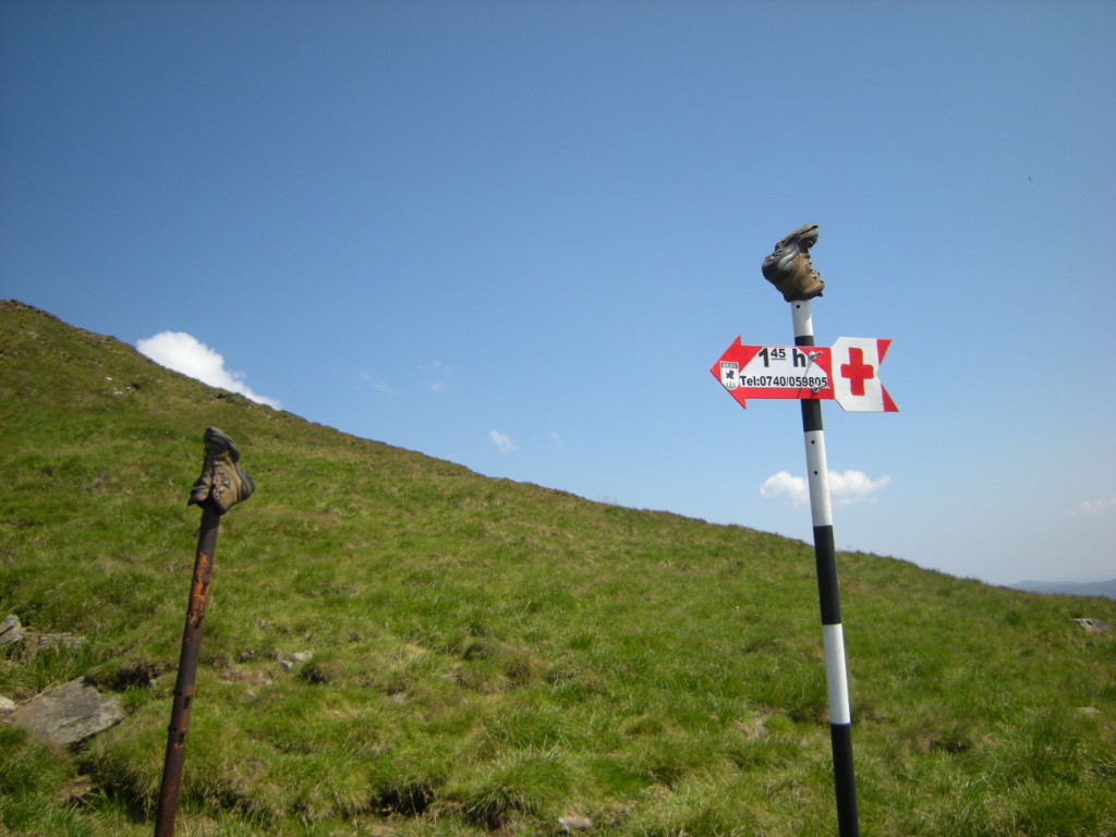 1008 Fagaras 295